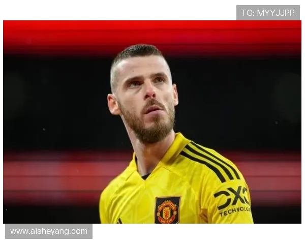 德赫亚对决库尔图瓦终极决战役